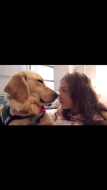 Fake death prank in front of my dog||cute dog videos.