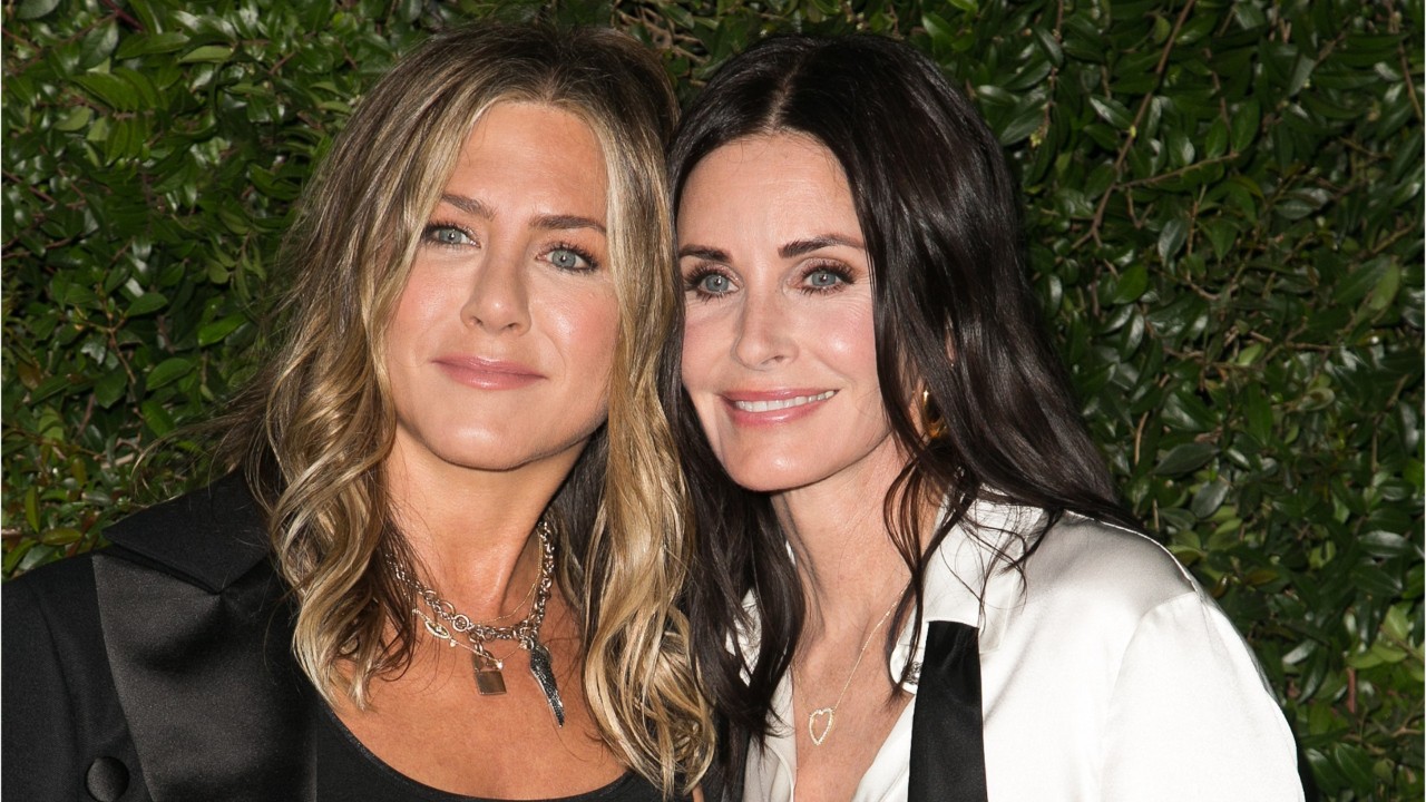 Courteney Cox Talks About Her Flight Disaster