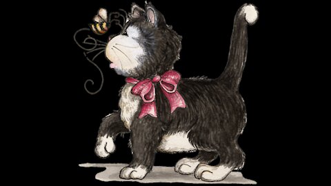 Minha gata