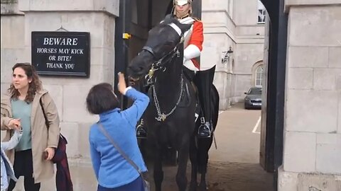 She could have lost her fingers #horseguardsparade