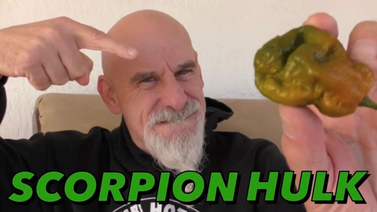 Scorpion Hulk Pepper grown by Lonestar Mastiff Farms!