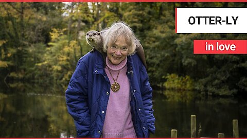Meet the animal-loving pensioner who has spent her life helping to raise OTTERS