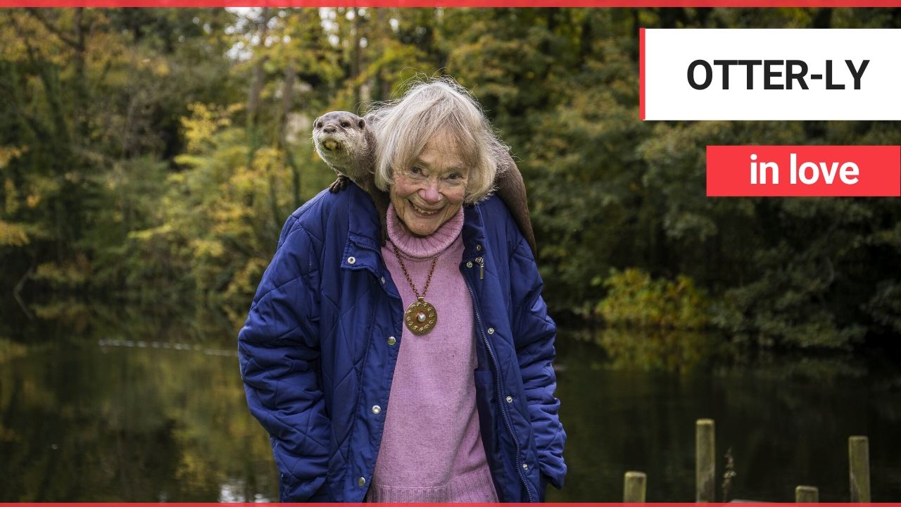 Meet the animal-loving pensioner who has spent her life helping to raise OTTERS