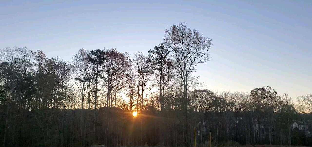 Sunrise Through the Treeline