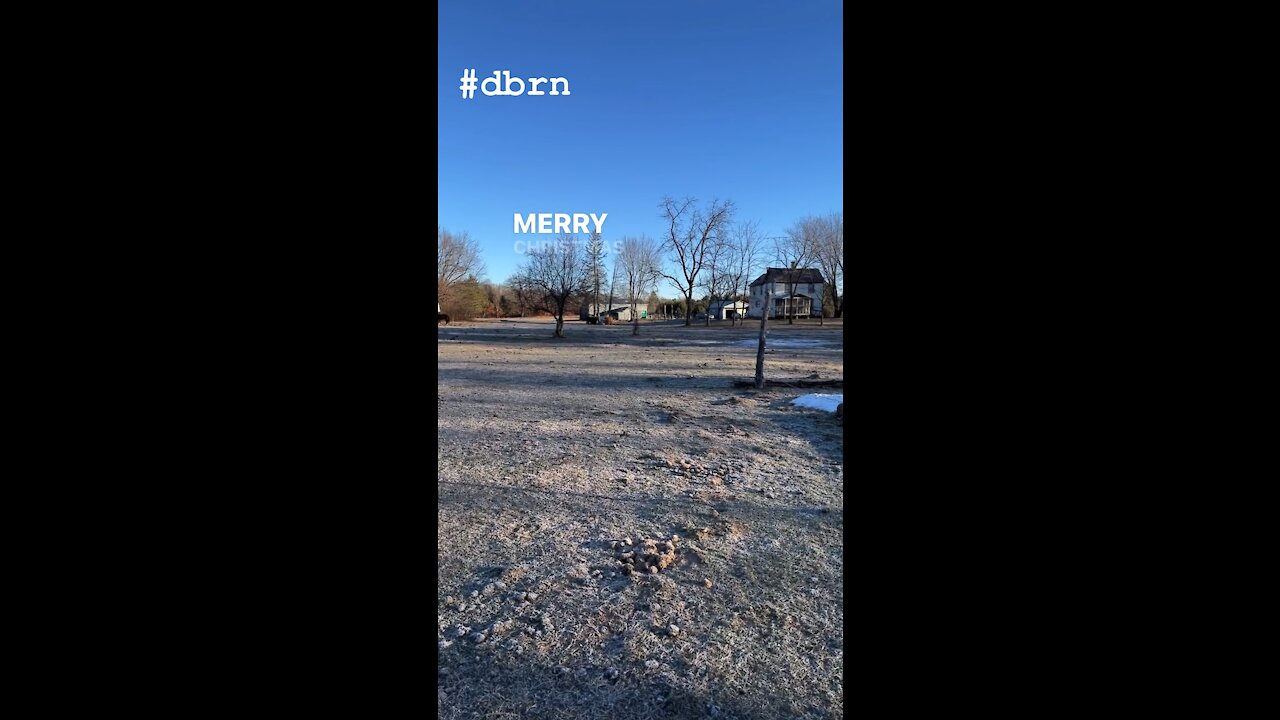 Pledge 12-25-21