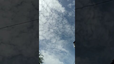Into the afternoon sky. #shorts