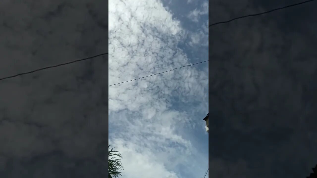 Into the afternoon sky. #shorts