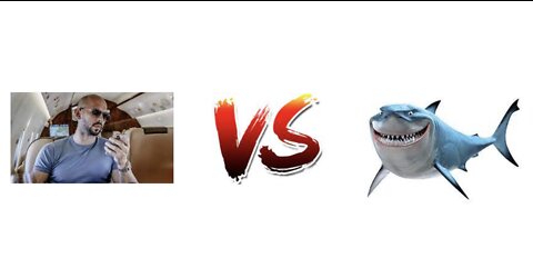 Andrew Tate vs Shark: Is it really 50/50?