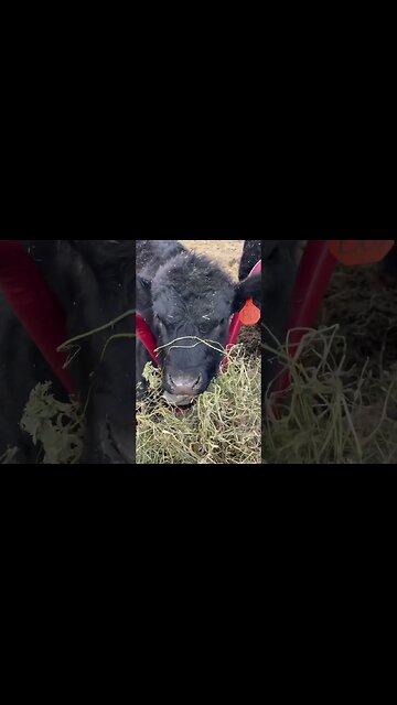 Enjoy What you Have!!