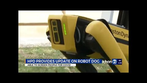 Minority Report: Robot dogs are scanning the homeless for covid in hawaii