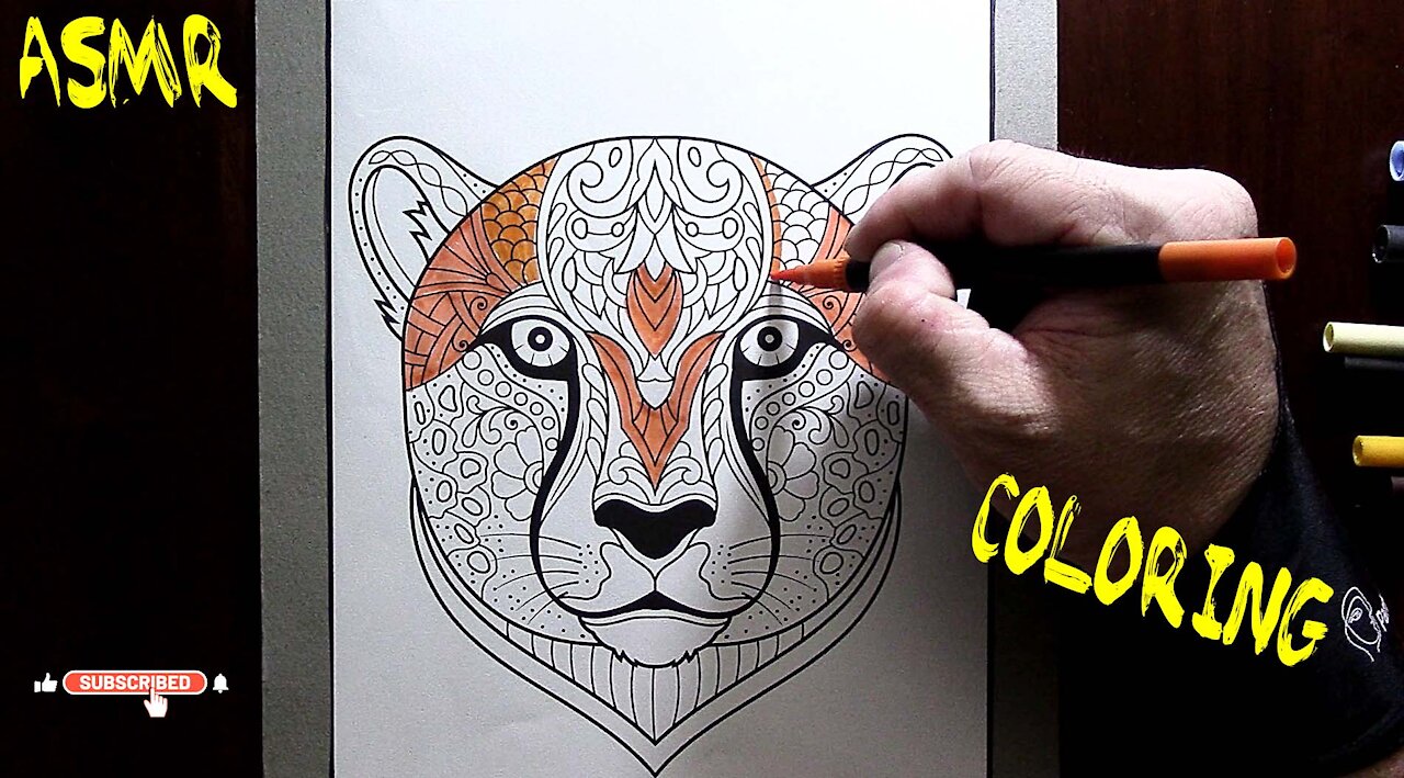 ASMR Coloring Animals - Leopard