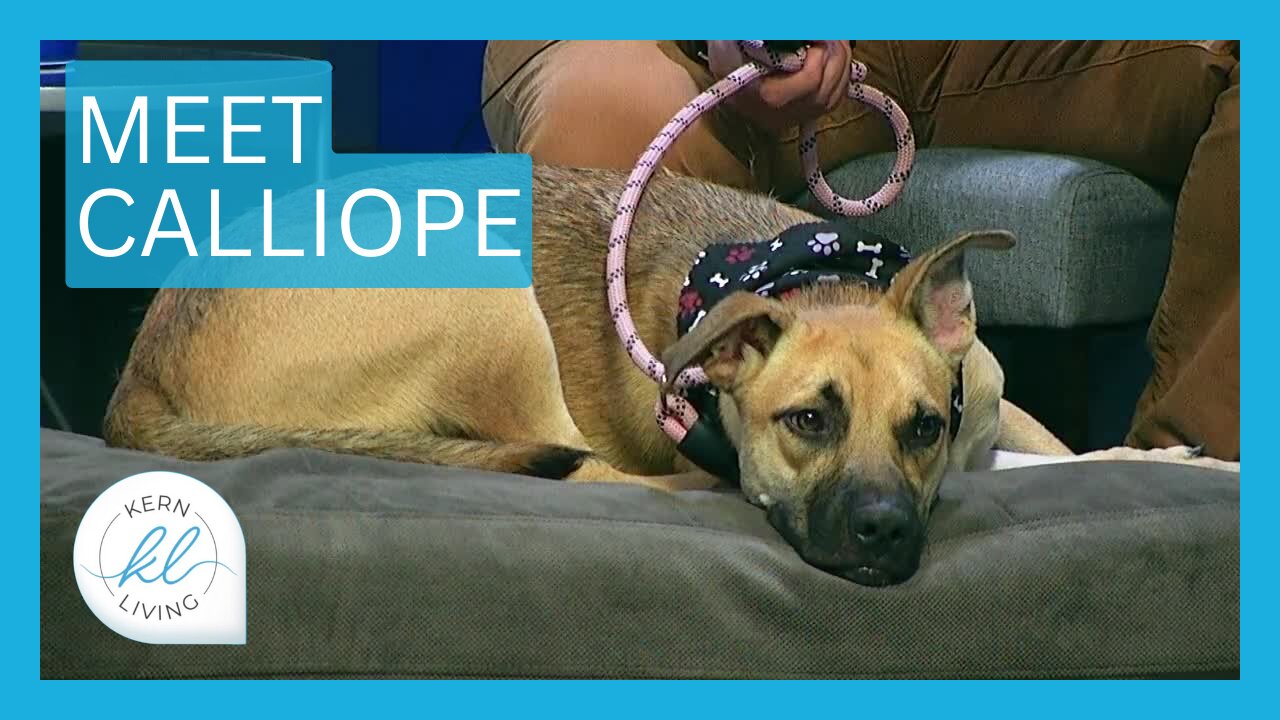 Meet Calliope | KERN LIVING