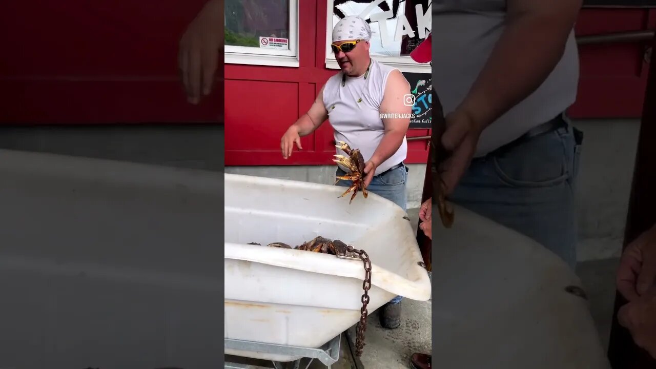 How Do You Grab A Crab? #alaskaadventure #shortvideos #nature #juneau #foodtour