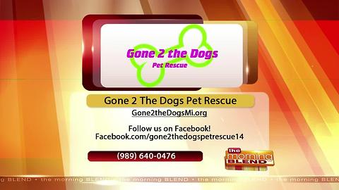 Gone 2 The Dogs Pet Rescue-7/5/17