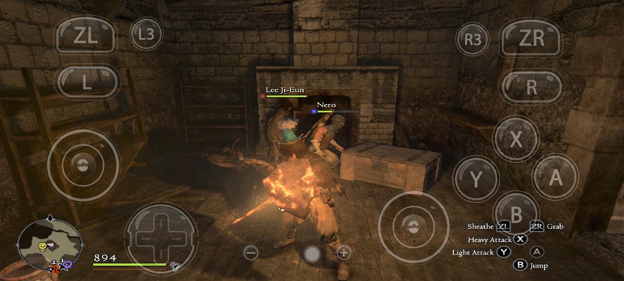 Dragons Dogma using Egg Ns 3.0.3