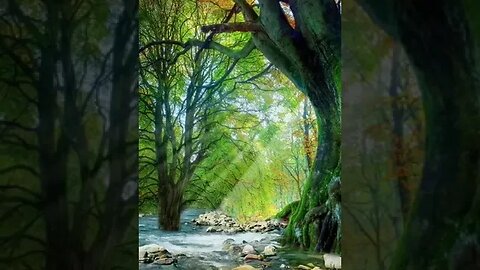 Vídeos incríveis antidepressão cansaço mental relaxamento paisagens The Best videos #shorts ♥