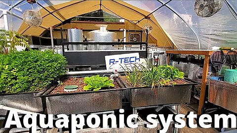 Aquaponic system update