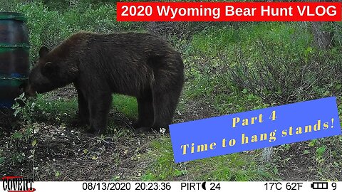 Wyoming Backcountry Bear Hunt VLOG #4