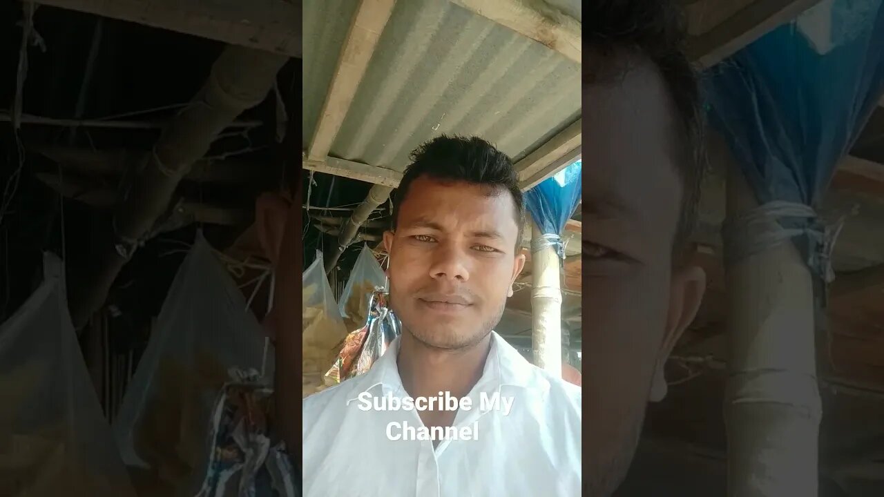 Funny moments. #vlog2023 #shorts2023 #blogger #funnyvideo #funny