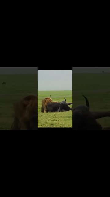 Amazing and Trending videos on YouTube 2022