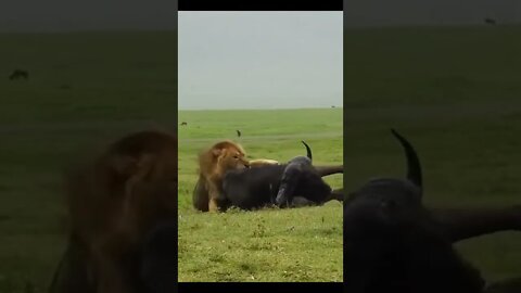 Amazing and Trending videos on YouTube 2022