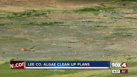 Algae cleanup plans move forward