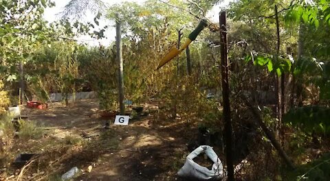 SOUTH AFRICA - Pretoria - Massive Drug Bust in Hammanskraal (Video) (soq)