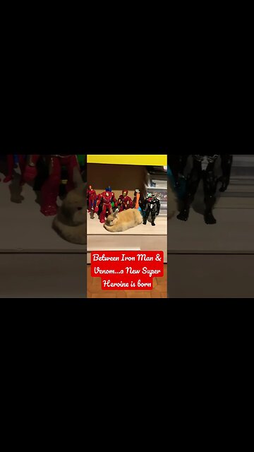 The rising star… #unastanzatuttaperme #giochidiruolo #avengers #rabbit #shorts