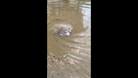 Flooded street June 2021