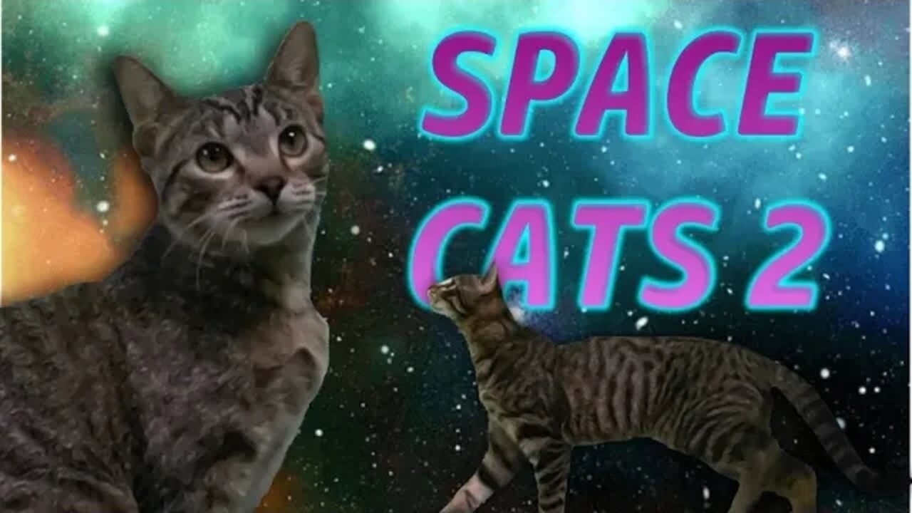 Space Cats 2: Electric Boogaloo