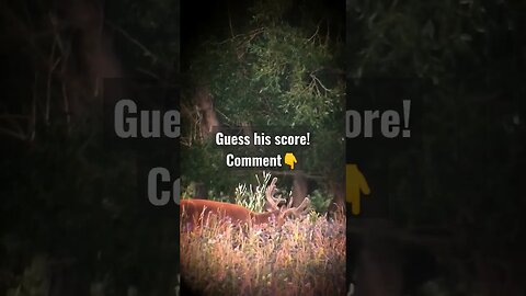 guess his score! #deer #deerhunting #bucks #wyoming #shortsvideo #shortsfeed #velvet #wildlife