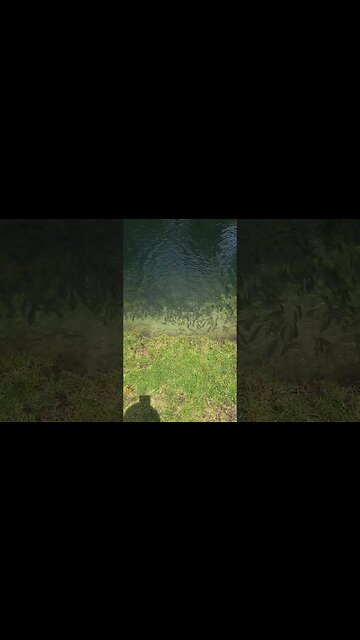 It didn't take long #shorts