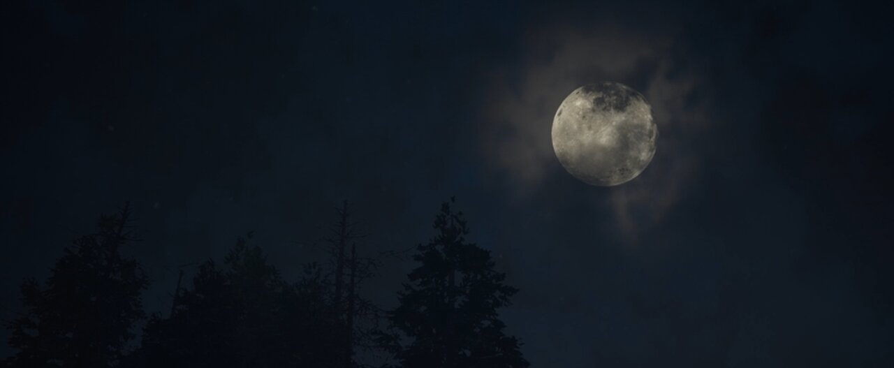 Death and Infection at The Quarry / Chapter 6: Prayers by Night