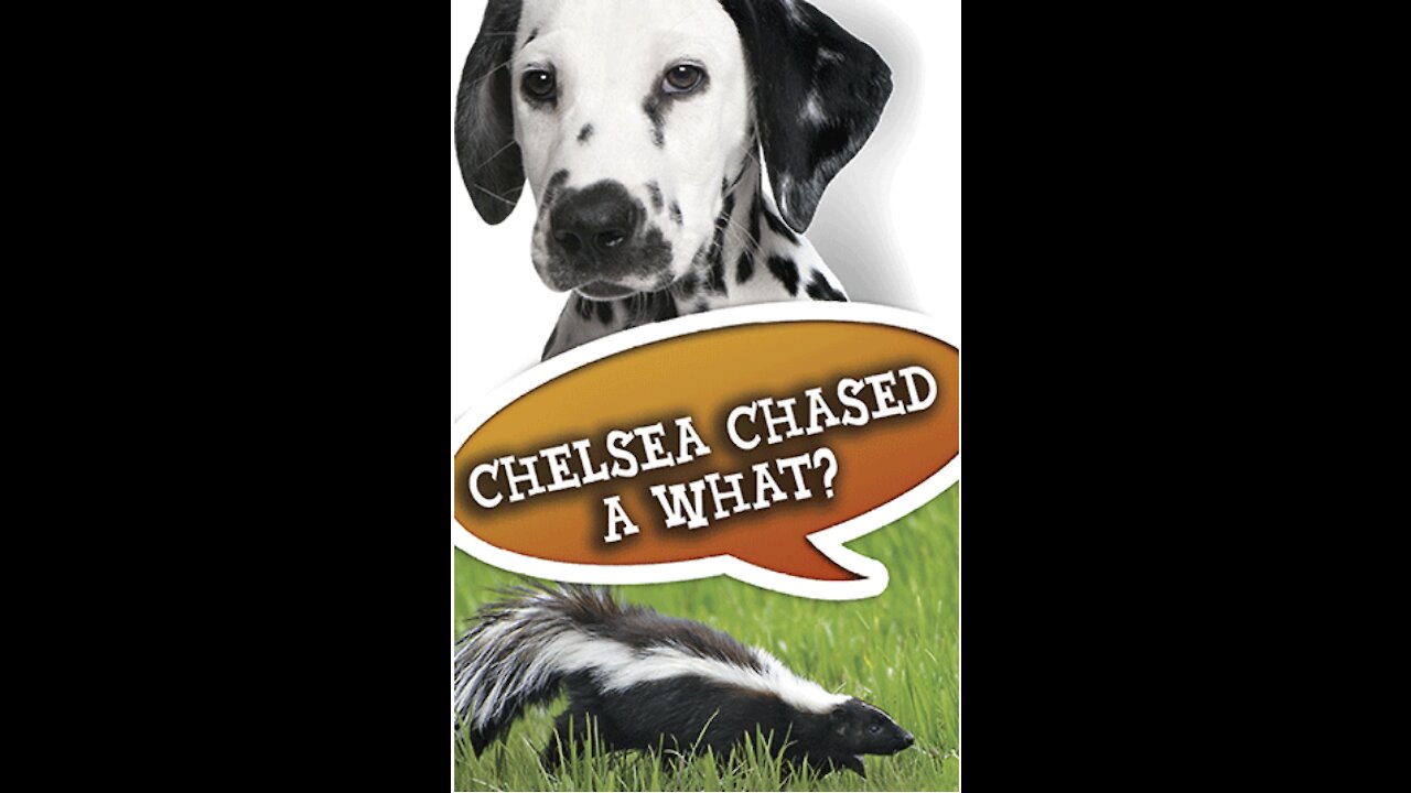 Chelsea Chased a What