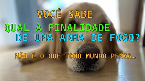 QUAL A VERDADEIRA FINALIDADE DE UMA ARMA DE FOGO? | VOCÊ VAI SE SURPREENDER COM A RESPOSTA