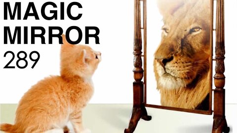 Magic Mirror 289 - Smart Birds Will Sing Now