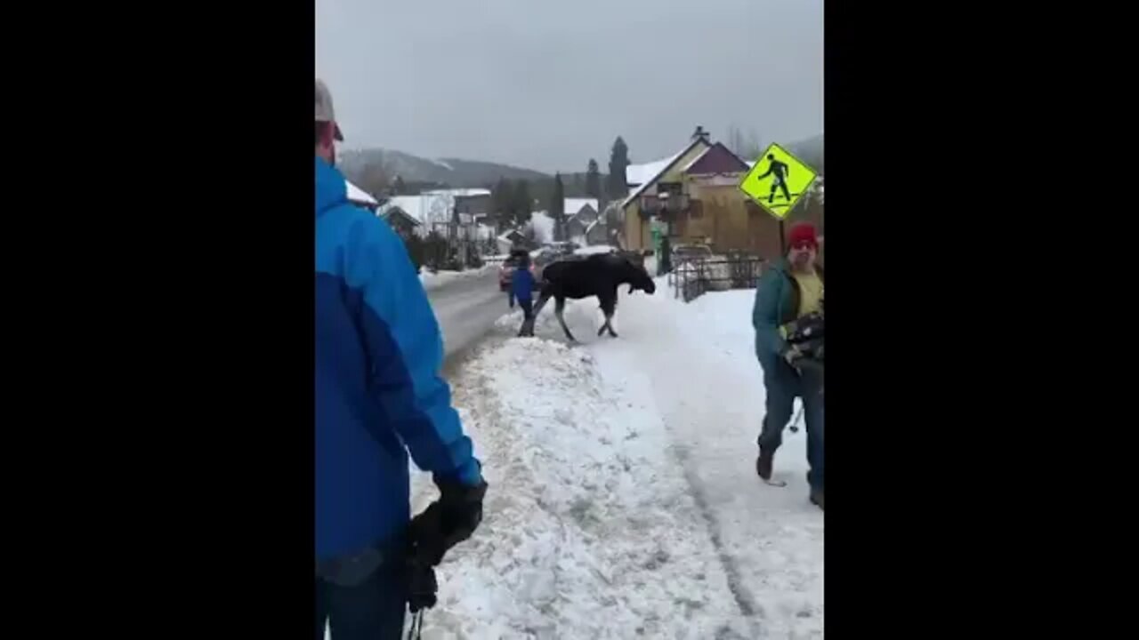 That Lady Probably Voted For Trudeau #shorts