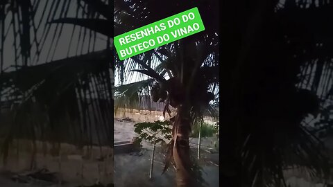 RESENHAS DO DO BUTECO DO VINAO