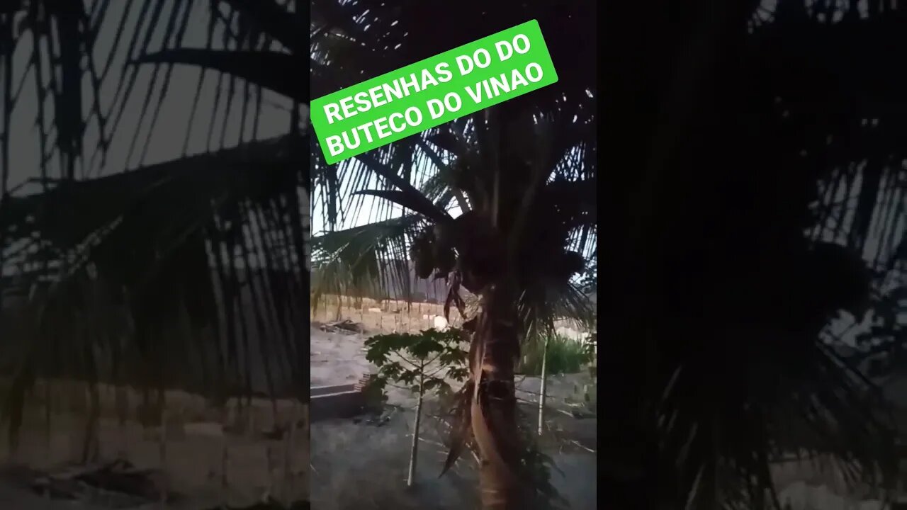 RESENHAS DO DO BUTECO DO VINAO