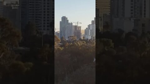 Zoom In On This! View of Downtown San Diego Construction From Cabrillo Bridge