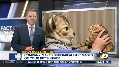 Turn your pet's face into a super-realistic mask?