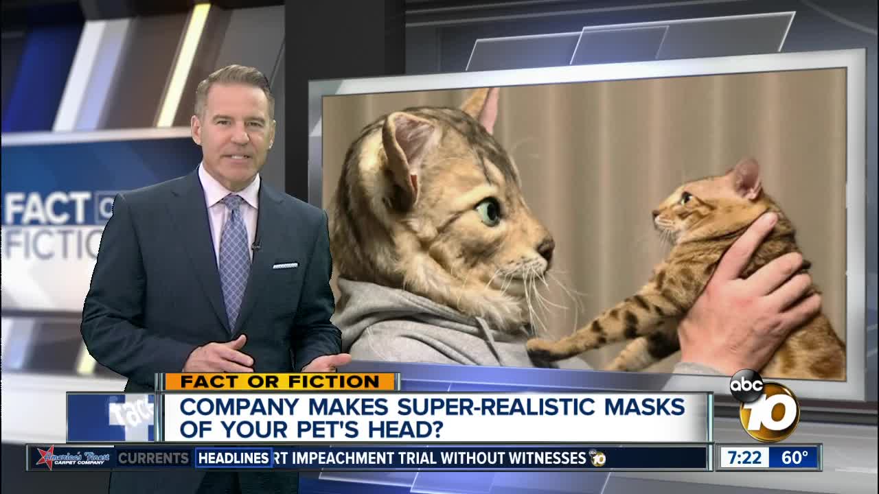 Turn your pet's face into a super-realistic mask?