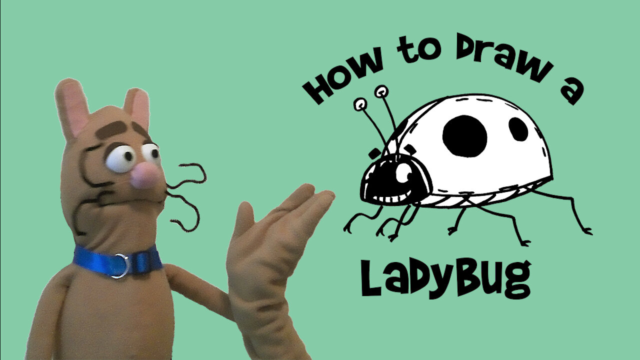 How to Draw a Ladybug