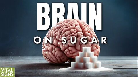 How Sugar Is Both ‘Brain Saver’ and Toxin: The Truth About Artificial Sweeteners