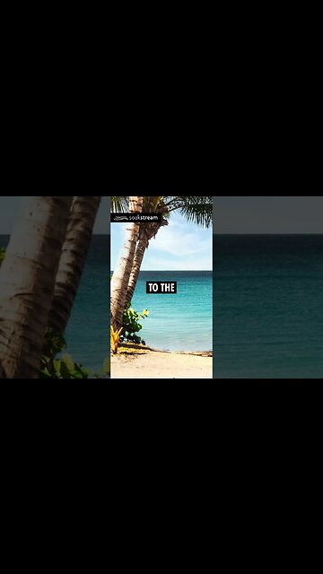 This Bible Verse Could Change Your Entire Day 🤯🙌🏼