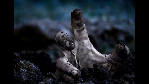 The Horde (Hard Rock/ Metal Music)