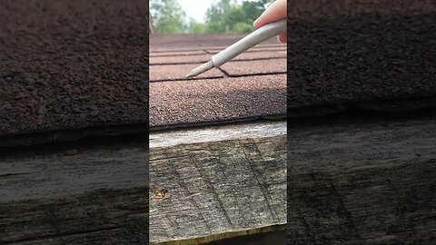 ASMR | Scratchy Pokey Random Thing On A Roof