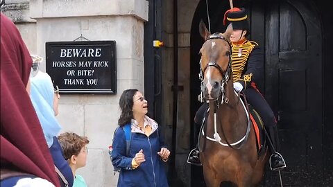 Japanese tourist nods her head in respect After guard shout Don't touch the reins #kingsguard