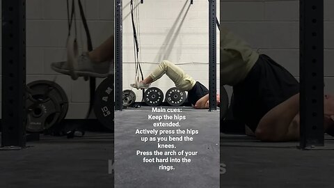 Lying leg curl (Rings)
