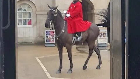 Horse taken back to stables #horseguardsparade